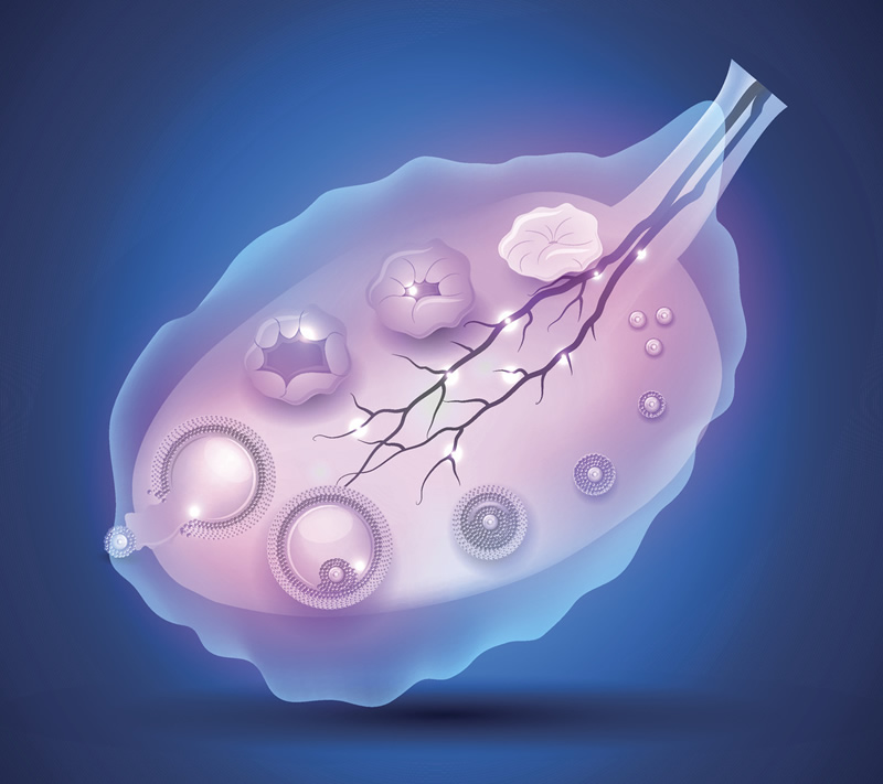 西安试管冻卵与试管婴儿医院前十强实力盘点：西北妇儿、唐都医院领衔，附本地辅助生殖机构选择指南